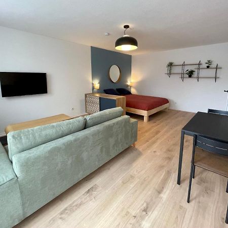 Апартаменти Grand Studio Joli Coeur - Calme Cosy Lumineux + Parking Нансі Екстер'єр фото