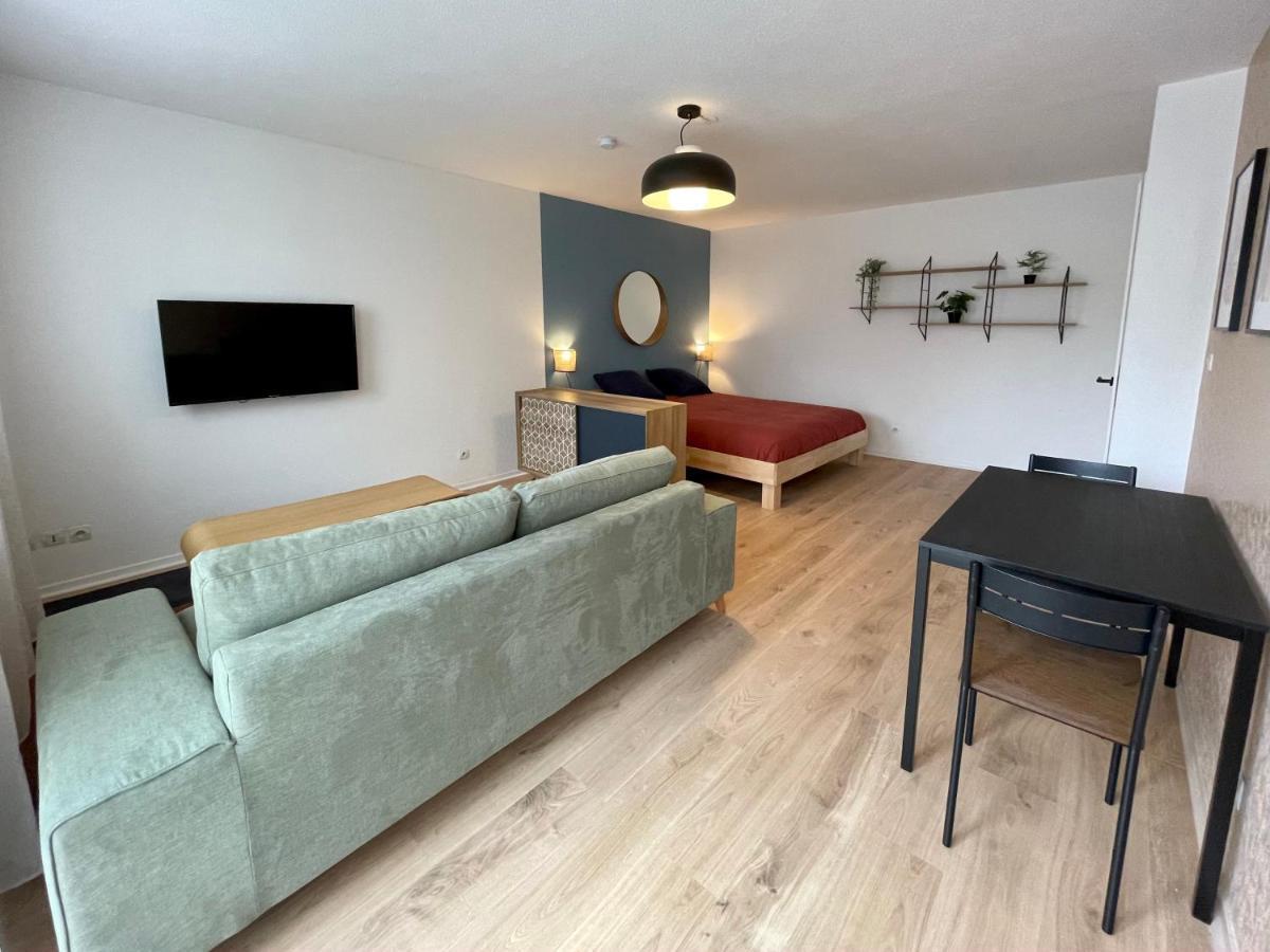 Апартаменти Grand Studio Joli Coeur - Calme Cosy Lumineux + Parking Нансі Екстер'єр фото