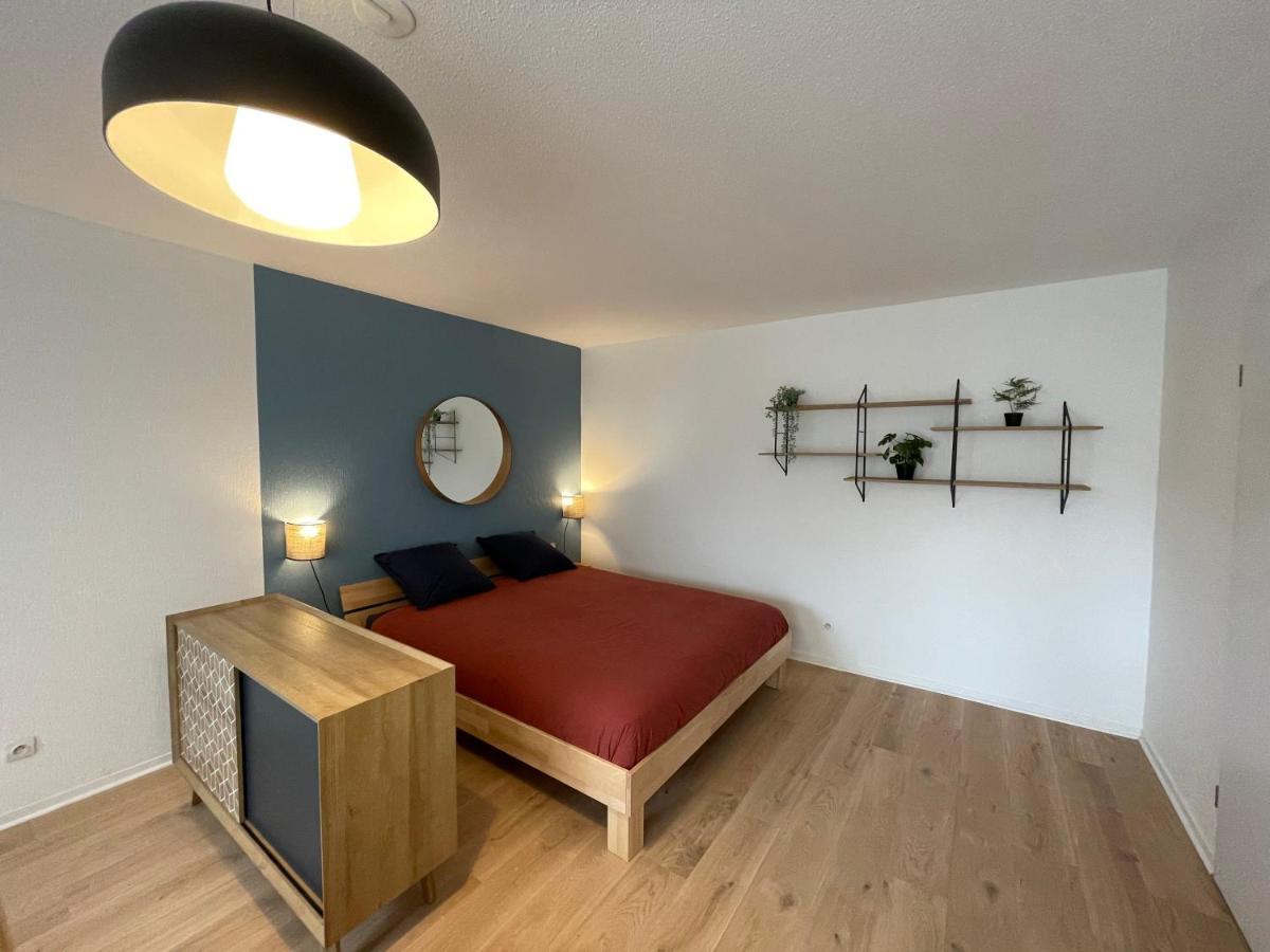 Апартаменти Grand Studio Joli Coeur - Calme Cosy Lumineux + Parking Нансі Екстер'єр фото